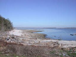 DSCN3532.jpg