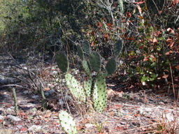 DSCN3536.jpg