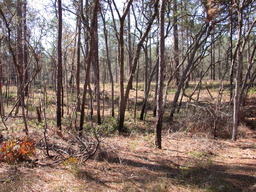 DSCN3540.jpg