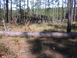DSCN3542.jpg