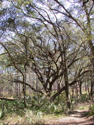 DSCN3545.jpg