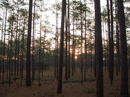 DSCN3547.jpg