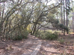 DSCN3557.jpg