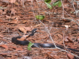 DSCN3558.jpg