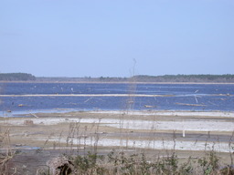 DSCN3559.jpg