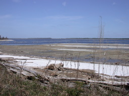 DSCN3561.jpg