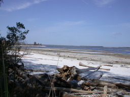 DSCN3563.jpg