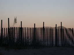 DSCN1551.jpg