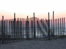 DSCN1552.jpg