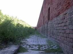 DSCN1575.jpg