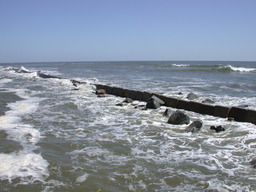 DSCN1604.jpg