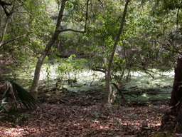 DSCN1607.jpg