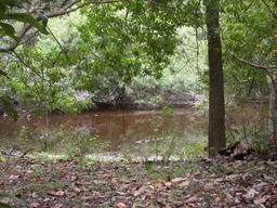 DSCN1614.jpg