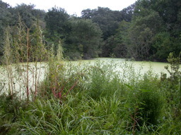 DSCN1619.jpg