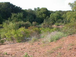 DSCN3001.JPG