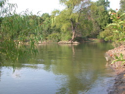 DSCN3002.JPG