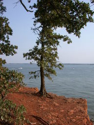 DSCN3007.JPG
