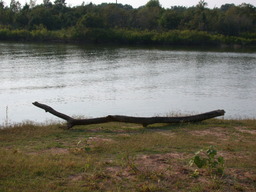 DSCN3008.JPG