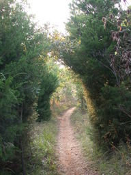 DSCN3010.JPG
