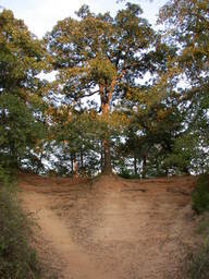 DSCN3012.JPG