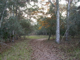 DSCN2102.JPG