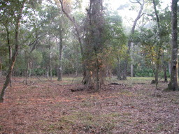 DSCN2107.JPG