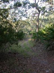 DSCN2119.JPG