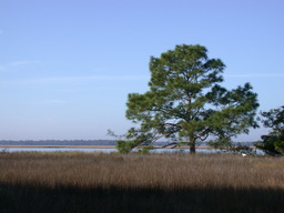 DSCN2120.JPG