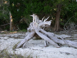 DSCN2130.JPG