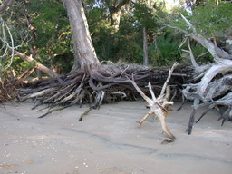 DSCN2132.JPG
