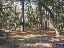 DSCN2145.JPG