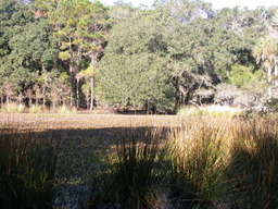 DSCN2148.JPG