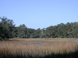 DSCN2154.JPG