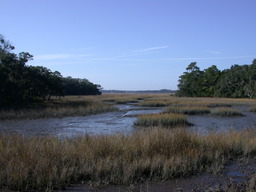 DSCN2159.JPG