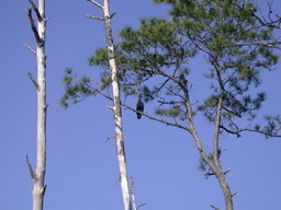 DSCN2161.JPG