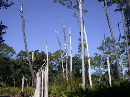 DSCN2164.JPG