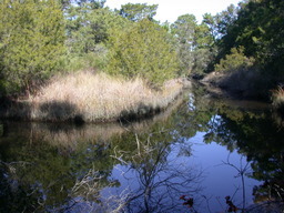 DSCN2167.JPG