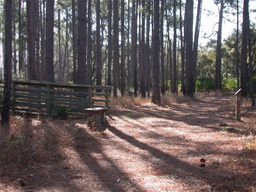 DSCN2173.JPG