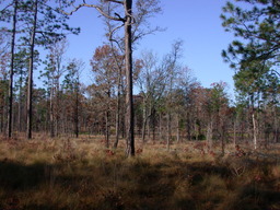 dscn3451.jpg