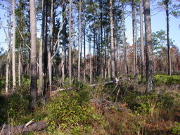 dscn3453.jpg