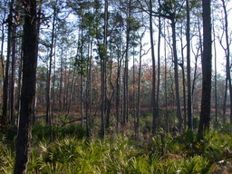 dscn3455.jpg