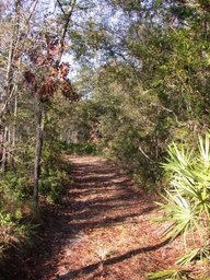dscn3456.jpg
