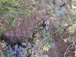 dscn3460.jpg