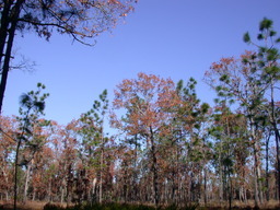 dscn3468.jpg