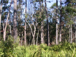 dscn3479.jpg