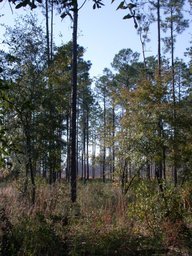 dscn3483.jpg