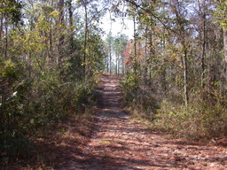 dscn3486.jpg