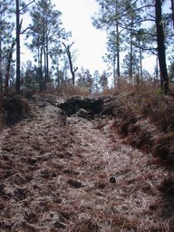 dscn3487.jpg