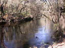 dscn3494.jpg