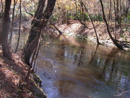 dscn3495.jpg